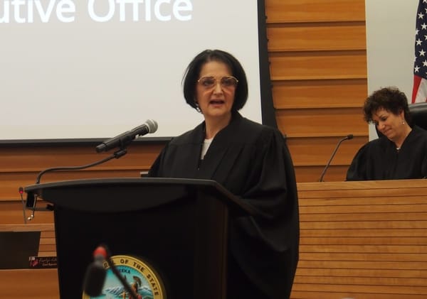 SB family law judge Dina Amani sworn in